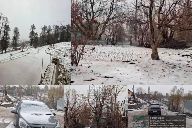 Hailstorm damages apple blossoms and crops in Budgam villages